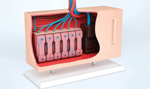 ip攻击器网页版