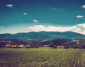 支付宝担保的免费ddos压力测试平台